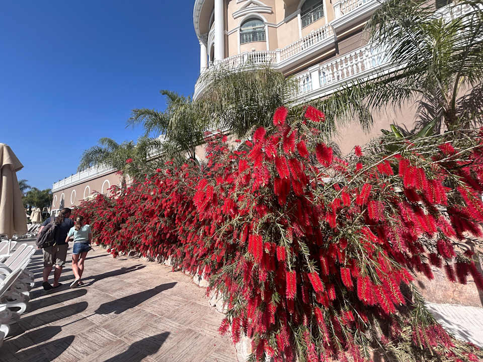 Pool Haydarpasha Palace
