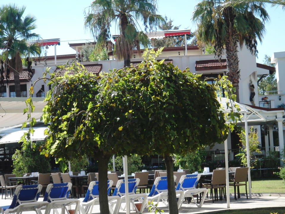 Pool und Ital. Restaurant Pirate's Beach Club