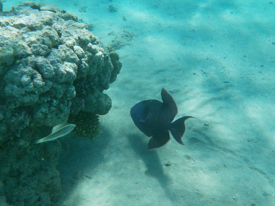 Sport & Freizeit Stella Beach Resort & Spa Makadi Bay