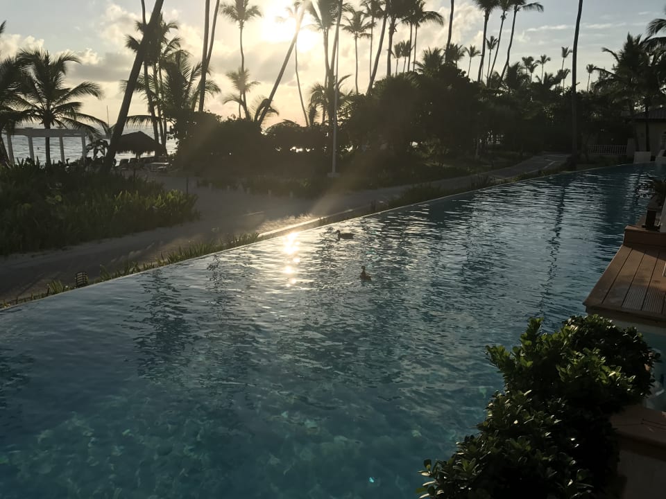 Pool Hotel Grand Palladium Palace Resort, Spa & Casino