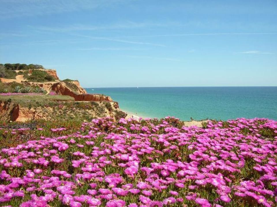 Blick vom Hotelgartenausgang aufs Meer Algarve Gardens