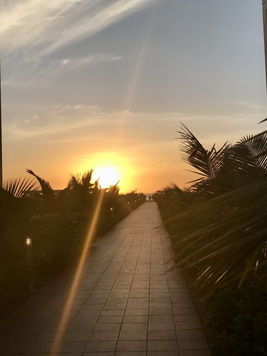 Ausblick Hotel Riu Baobab - All Inclusive