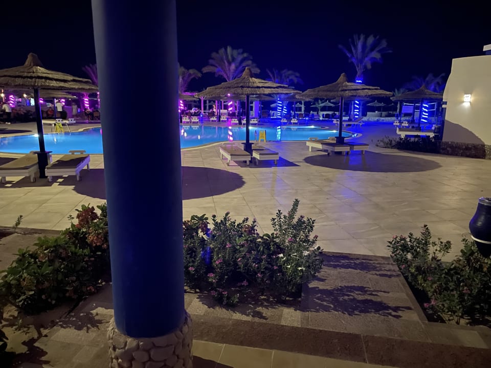 Pool Coral Sun Beach