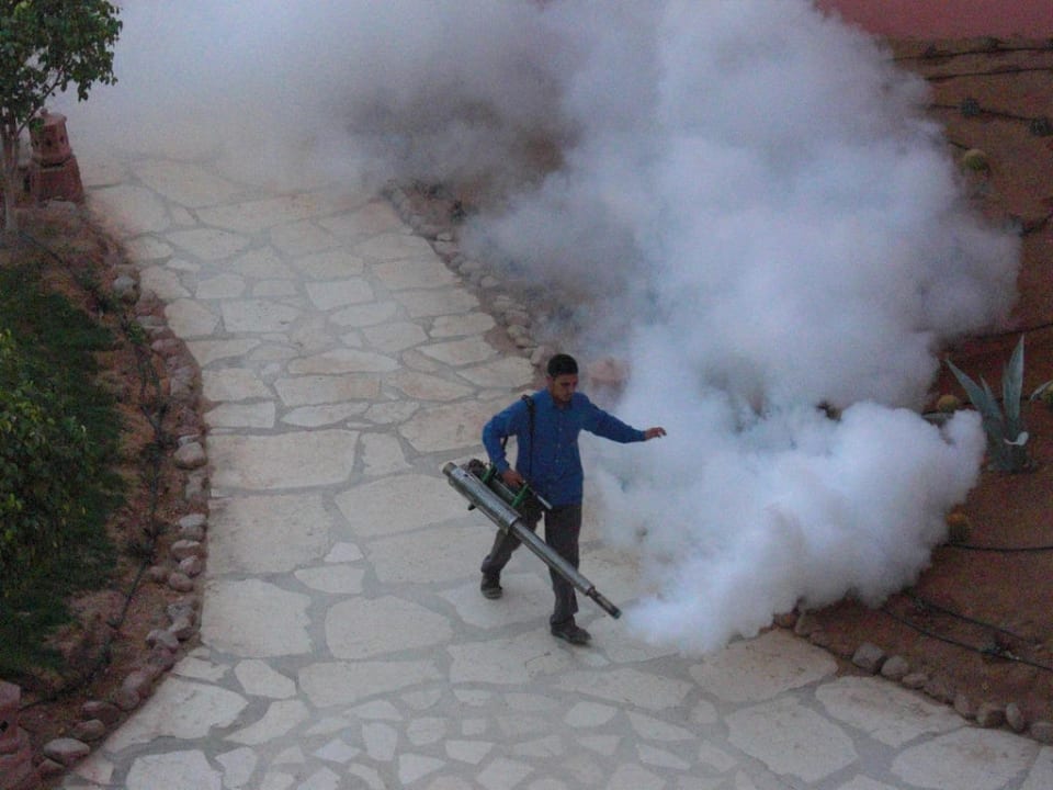 Ägyptische Schädlingsbekämpfung Parrotel Beach Resort