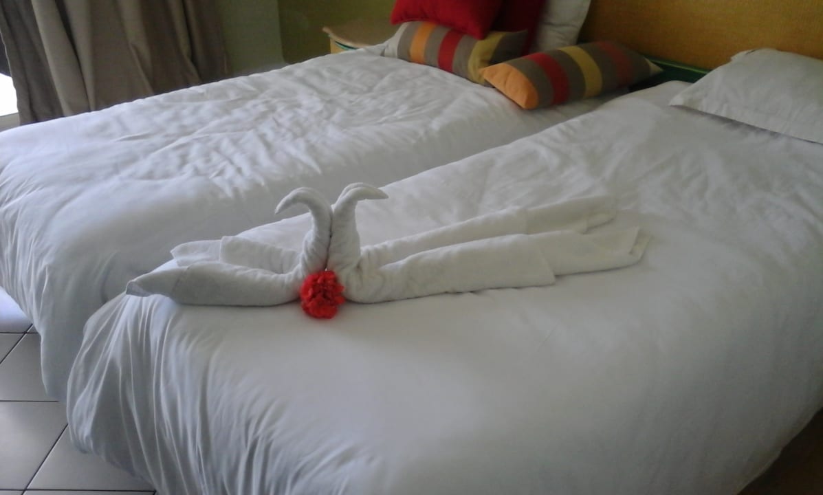 Zimmer Hammamet Garden Resort & Spa