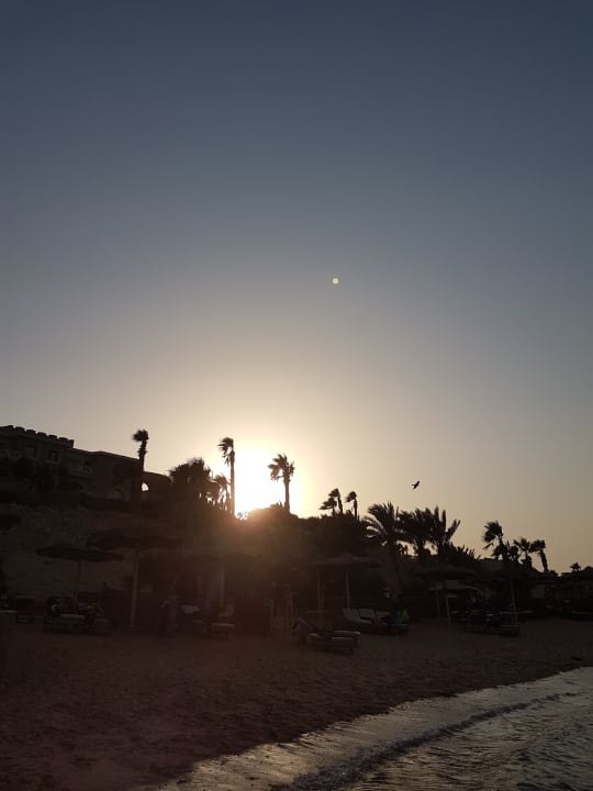 Strand Pickalbatros Citadel Resort