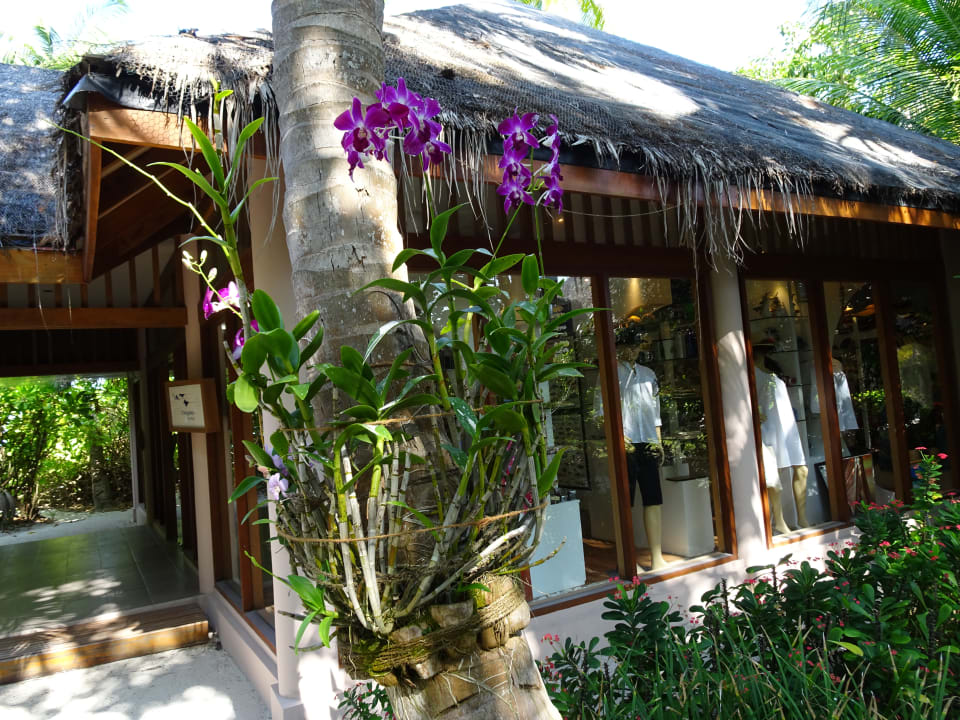 Sport & Freizeit Veligandu Maldives Resort Island