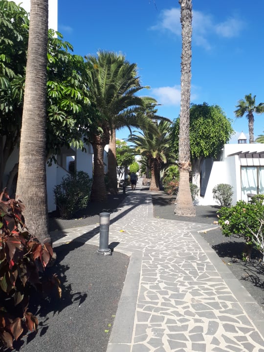 Gartenanlage allsun App.-Hotel Albatros