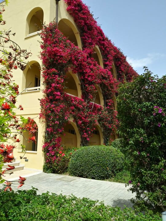 Gartenanlage TUI MAGIC LIFE Calabria