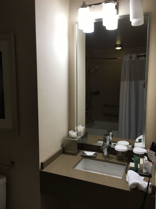 Bad Hilton New York Times Square