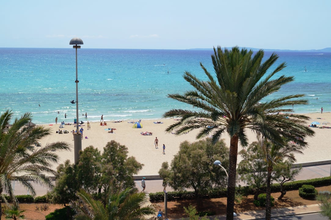 Zimmerausblick HM Tropical