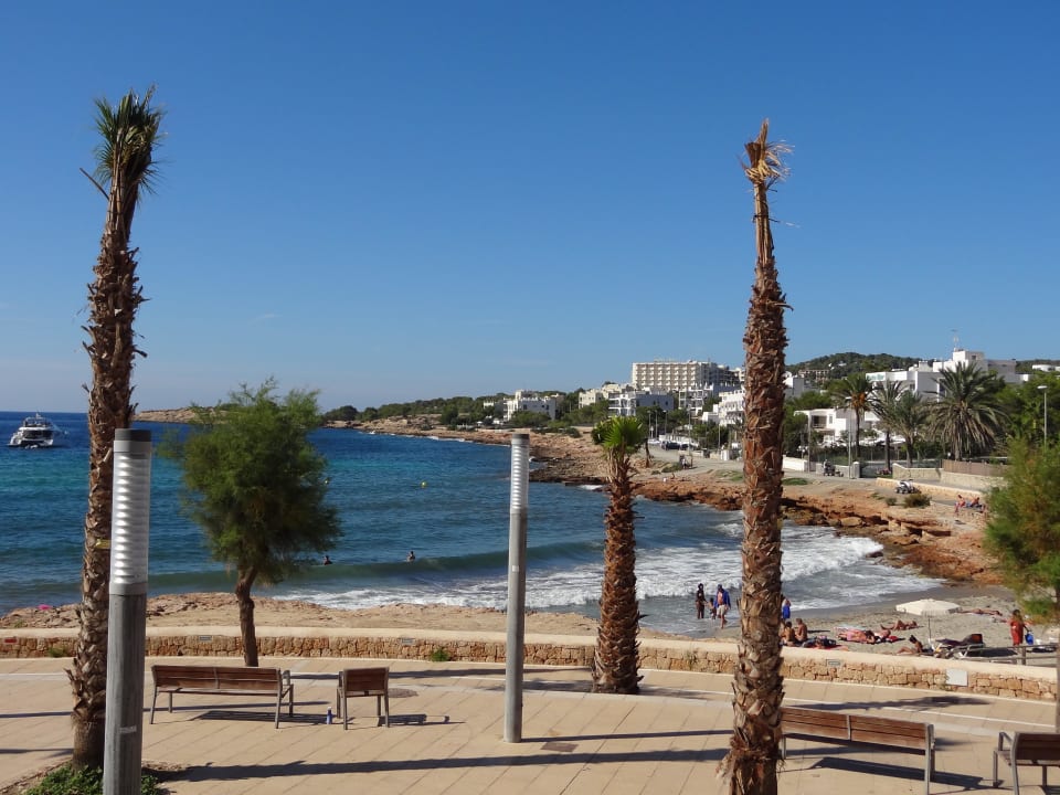 Blick vom Pool auf die Bucht Hotel-Apartamentos Blau Parc