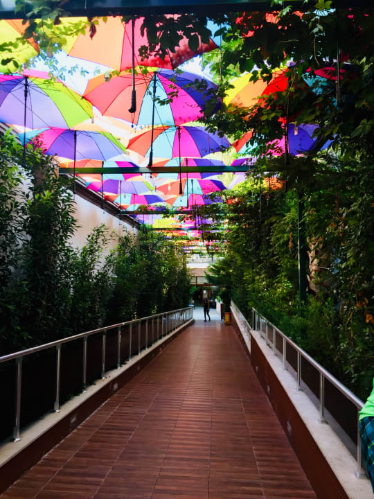 Gartenanlage Hane Family Resort