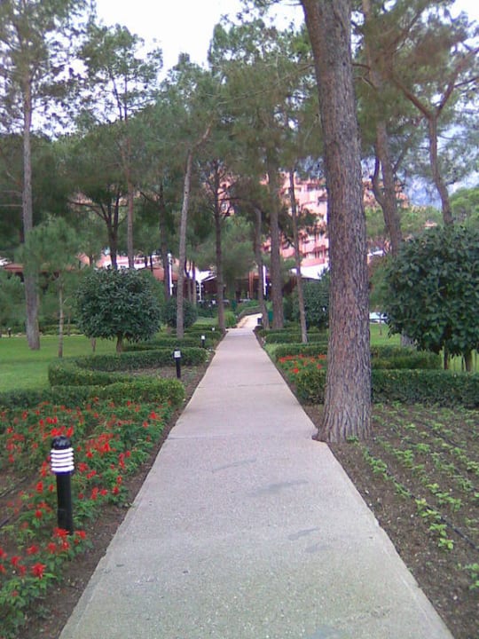 Weg vom Hotel zum Strand Balmy Foresta