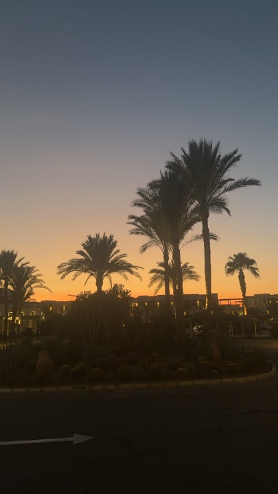 Außenansicht Steigenberger Coraya Beach - Adults only