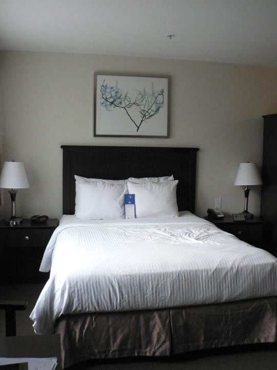 Zimmer mit Queensize-Bett Best Western Chocolate Lake Hotel