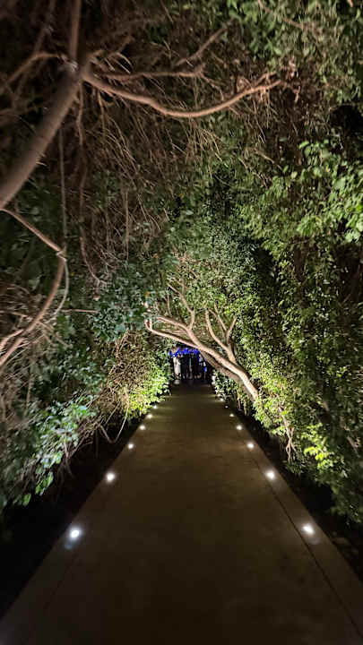 Gartenanlage Fort Arabesque Resort, Spa & Villas