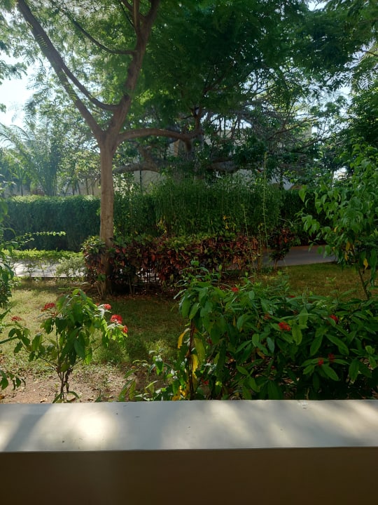 Gartenanlage Hotel Riu Palace Zanzibar
