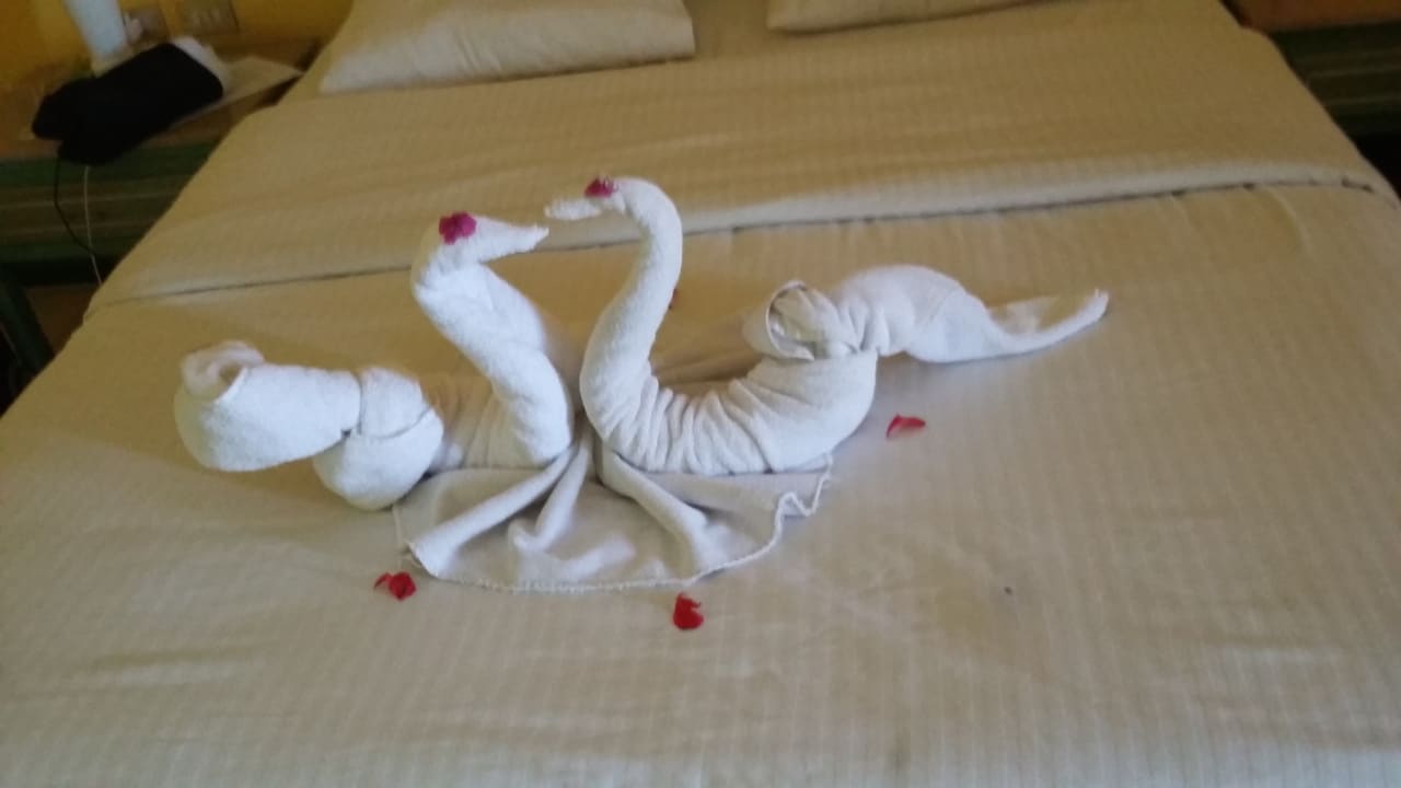 Zimmer Giftun Azur Resort