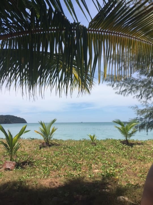 Liegewiese Hotel Frangipani Langkawi Resort