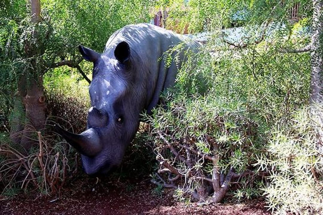 Nashorn Lopesan Baobab Resort