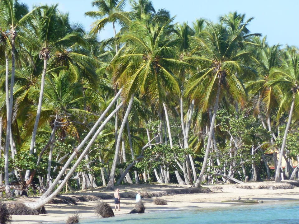 Krumm und schief, aber schön Bahia Principe Grand El Portillo