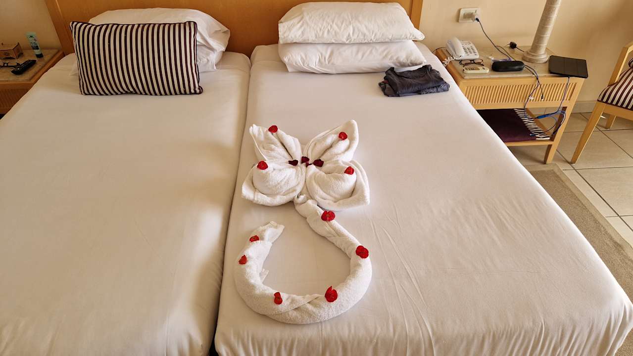Zimmer Hotel JAZ Makadi Star & Spa