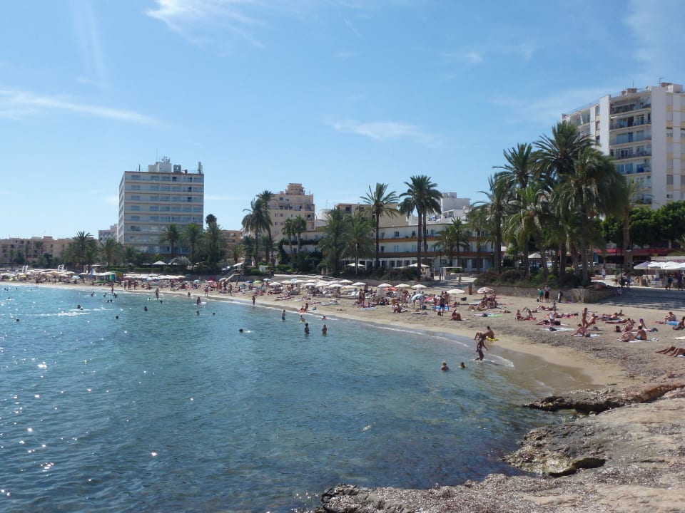 Strand an der Promenade THB Los Molinos - Adults only