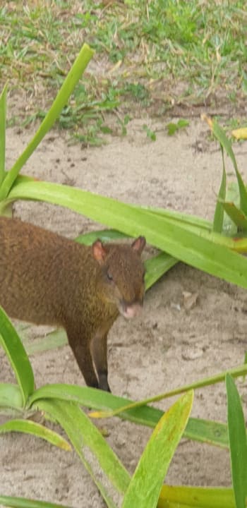 Sonstiges Akumal Bay Beach & Wellness Resort