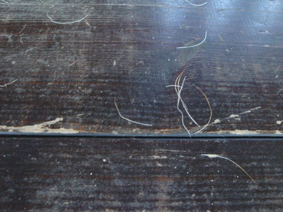 Eklige Hundehaare auf unserem Balkon! Hotel Seiseralm & Hof