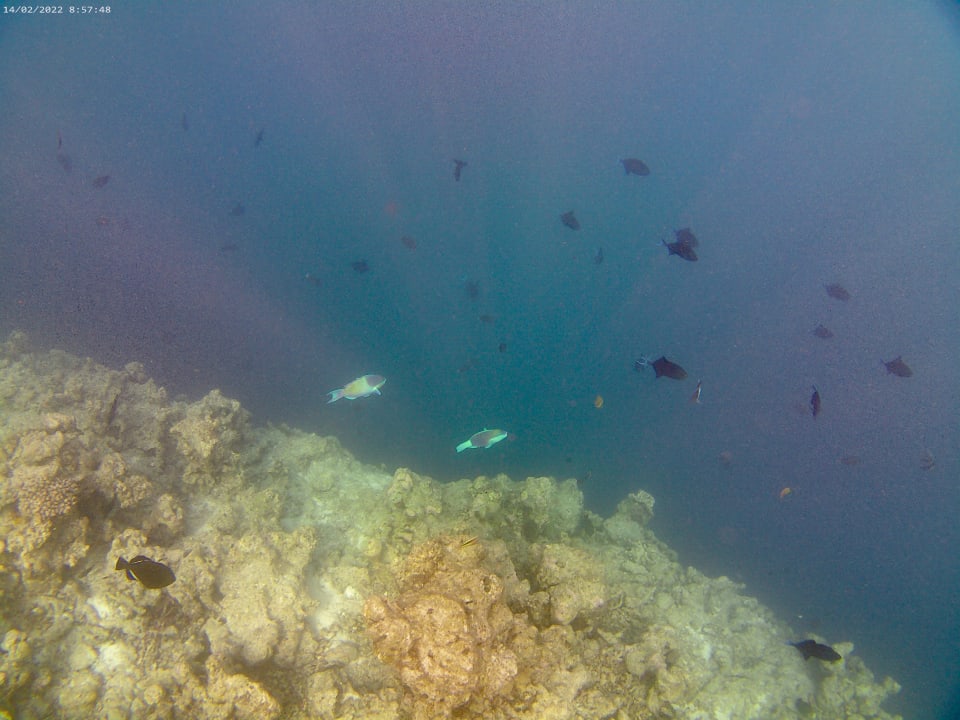 Sport & Freizeit Adaaran Select Hudhuran Fushi - Premium All Inclusive