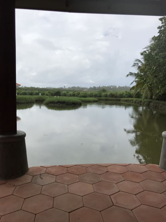 Ausblick Ayubowan Swiss Lanka Bungalow Resort