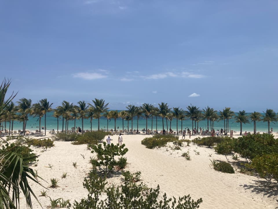 Strand Hotel Riu Palace Costa Mujeres