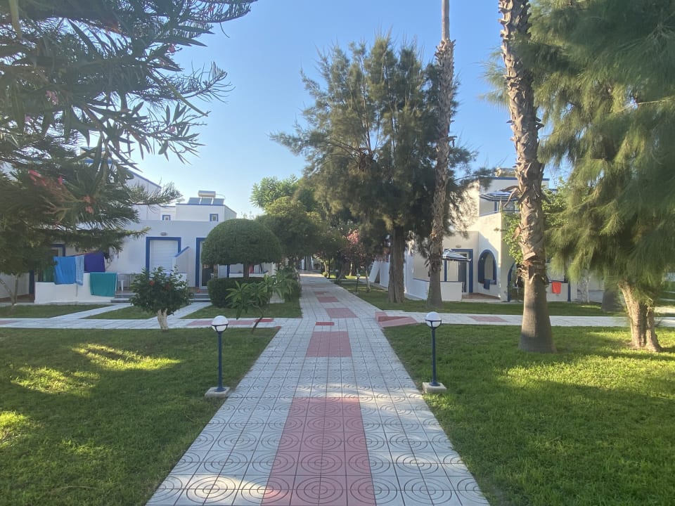 Gartenanlage Hotel Tigaki's Star