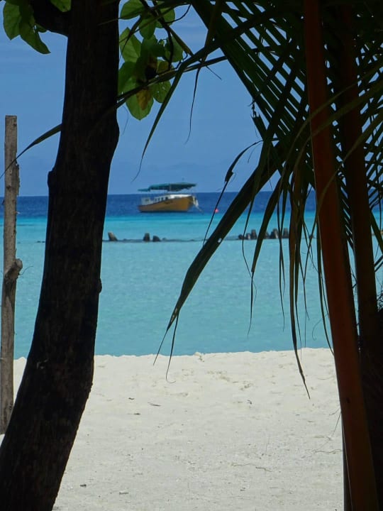 Strand Summer Island Maldives
