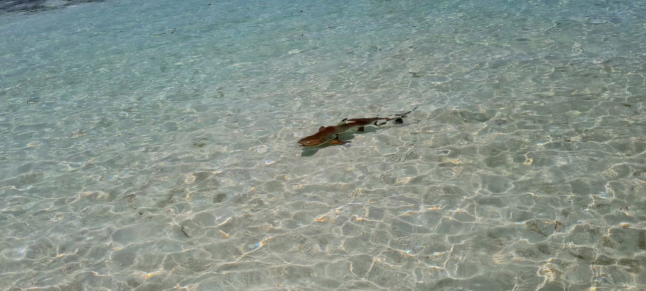 Strand Adaaran Select Hudhuran Fushi - Premium All Inclusive