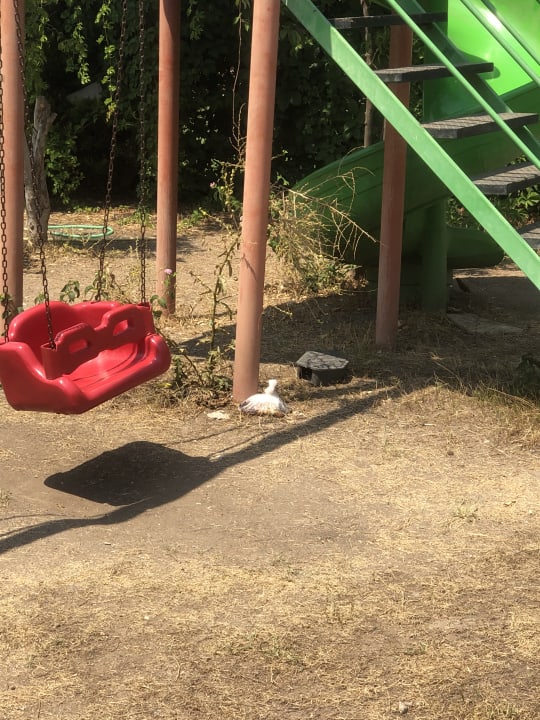 Außenansicht White Lilyum