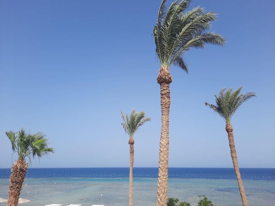 Ausblick Makadi Spa - Adults only