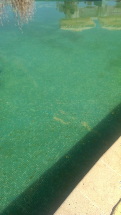 Grauenhaft  Park Hotel Golden Beach