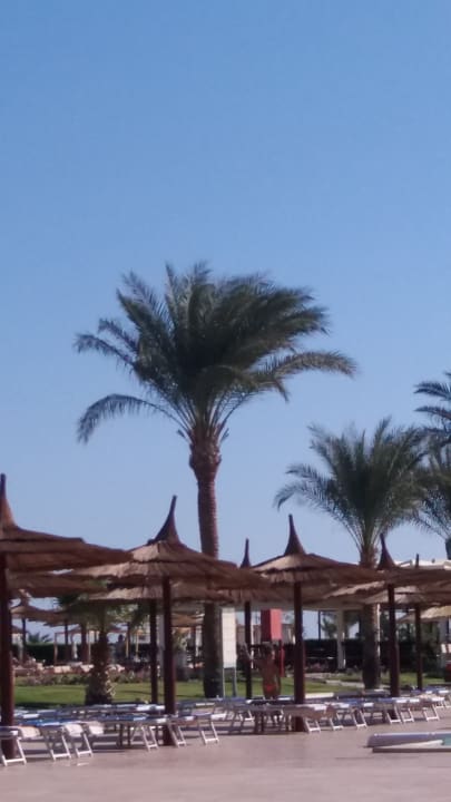 Sonstiges Pickalbatros Aqua Park Resort - Hurghada