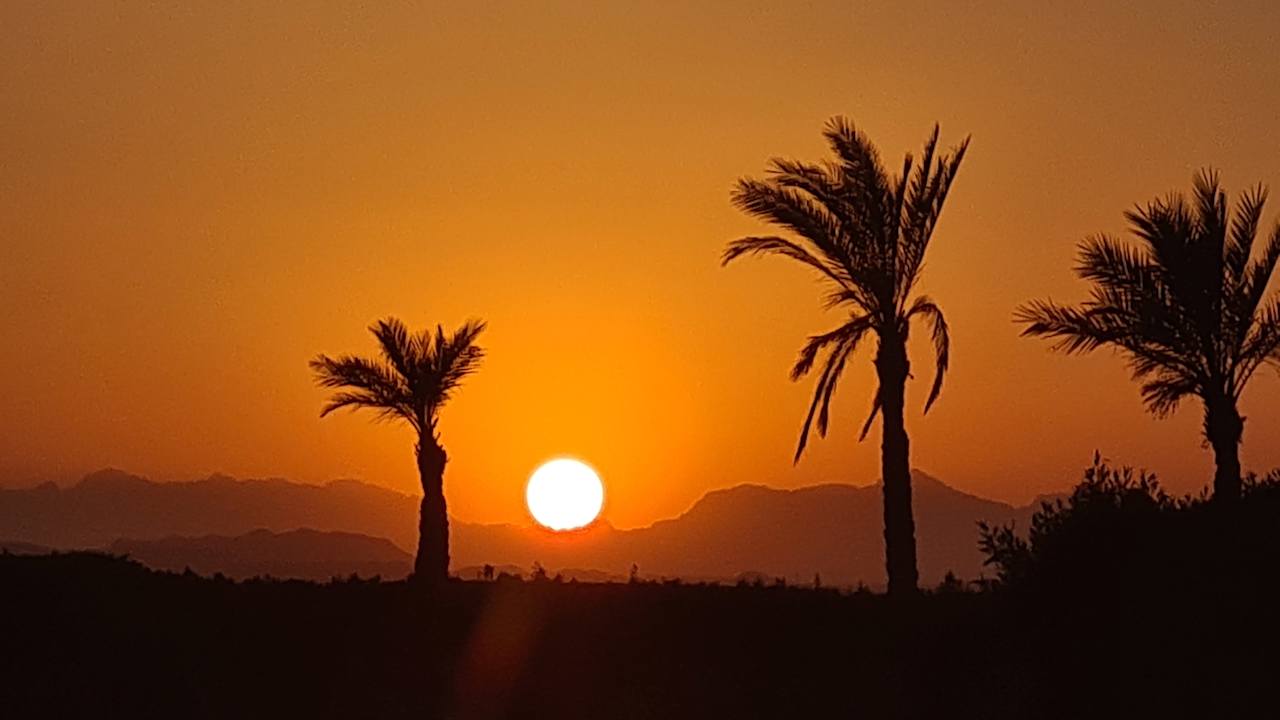 Ausblick Three Corners Sea Beach Resort