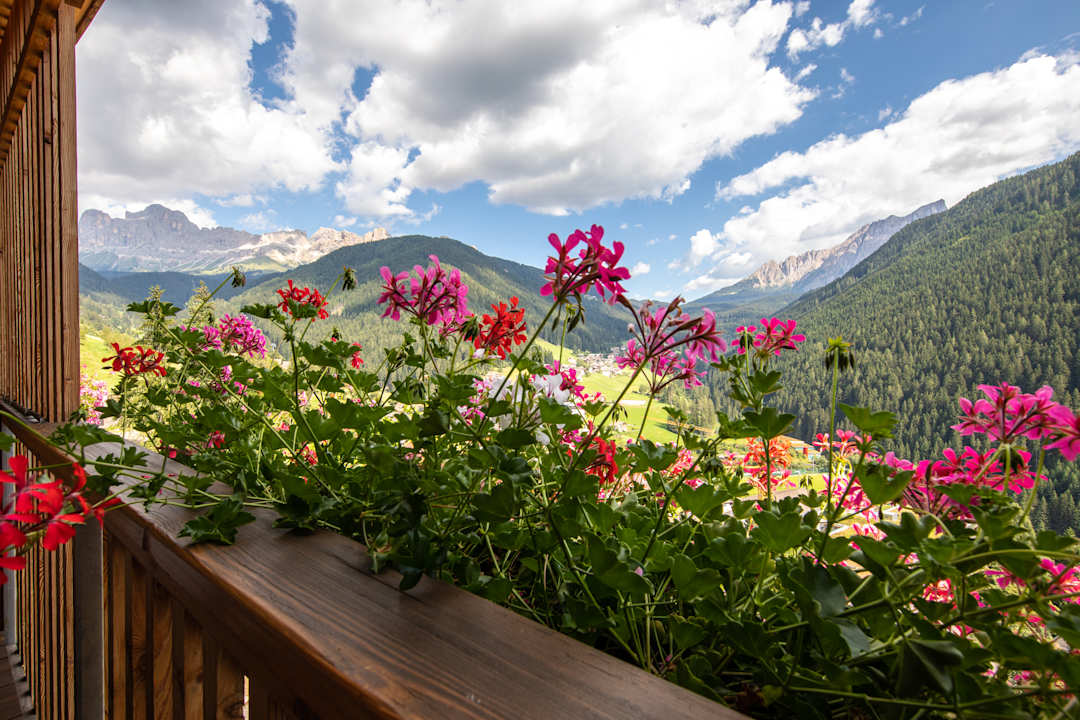 Ausblick Niggl Easygoing Mounthotel