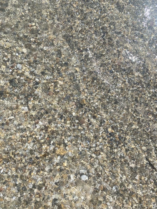 Strand Dizalya Palm Garden