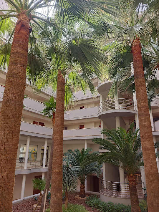Gartenanlage allsun App.-Hotel Orient Beach