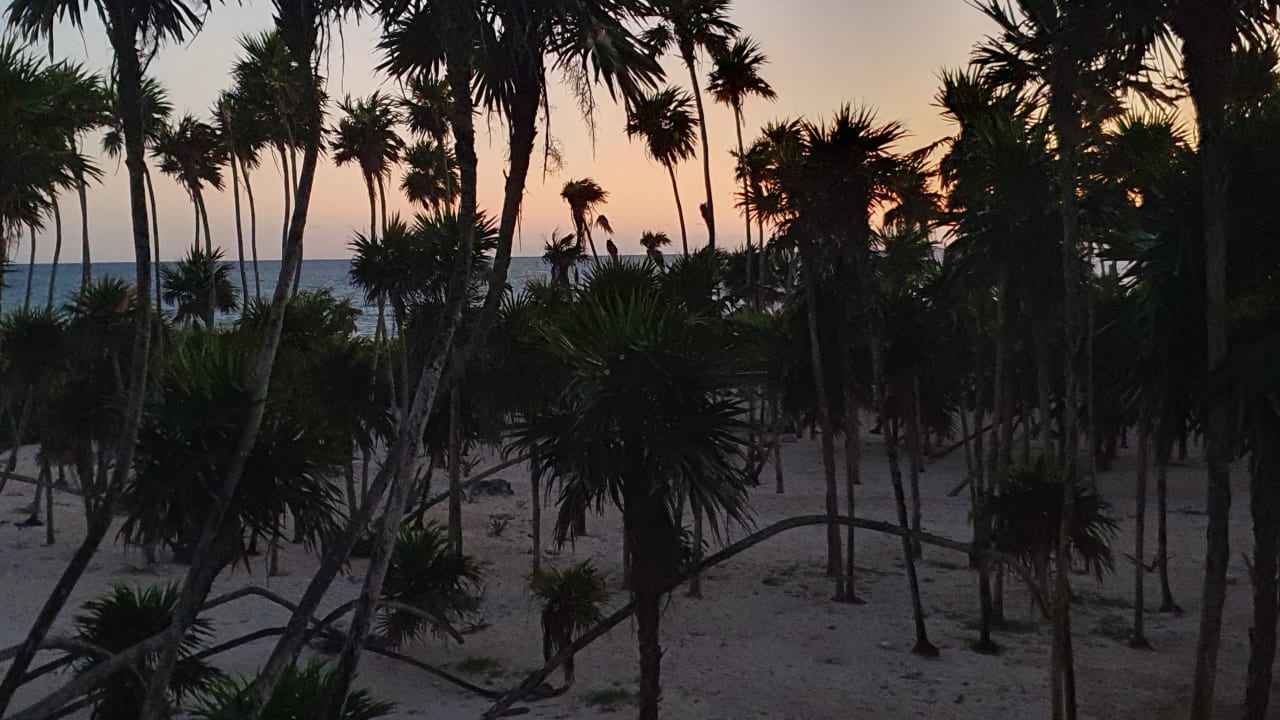 Ausblick Valentin Imperial Riviera Maya - Adults only