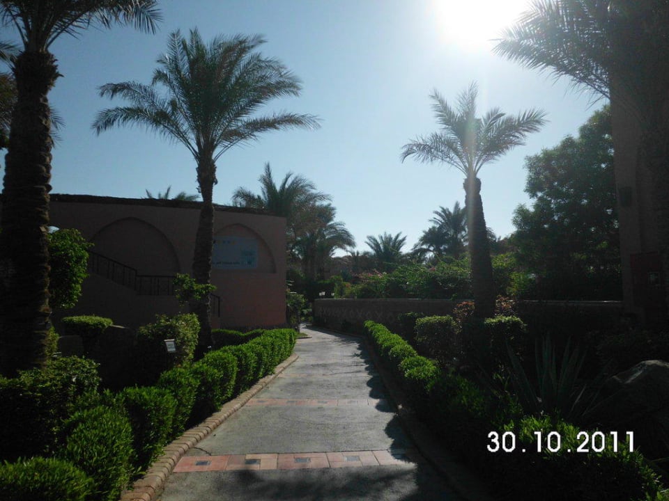 Anlage Jaz Makadi Oasis Resort