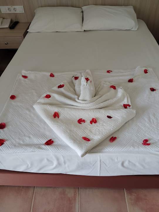 Sonstiges Hotel Gardenia Beach