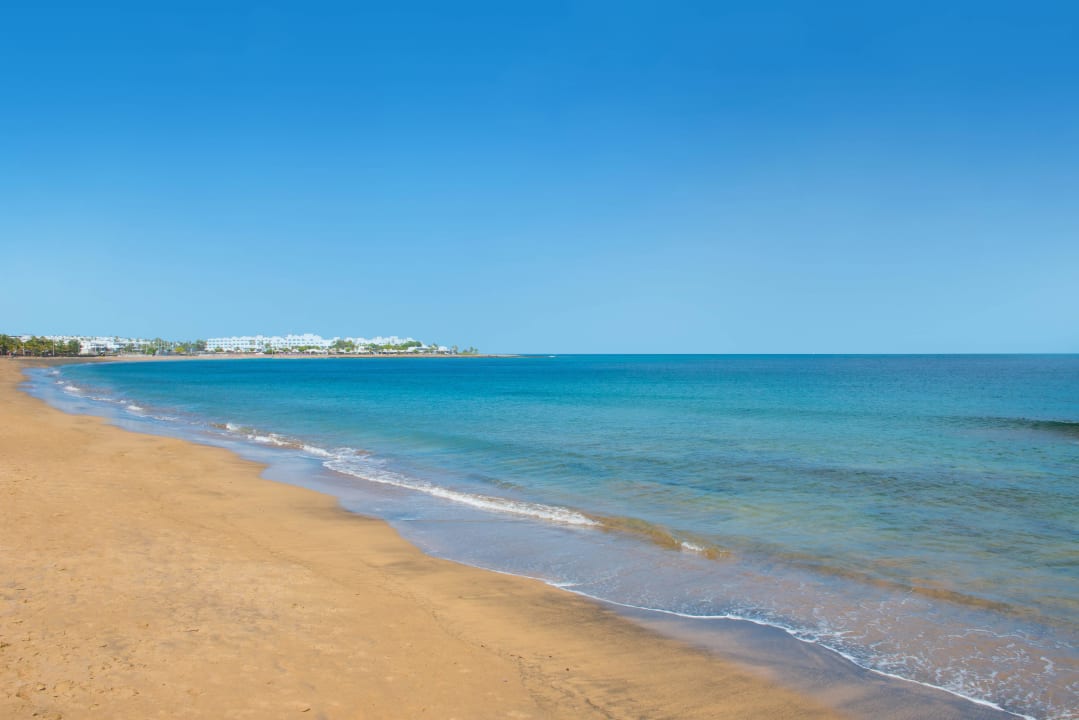 Strand  Relaxia Olivina