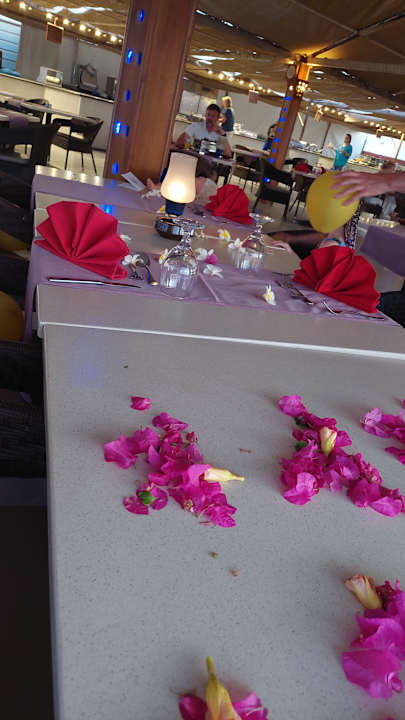 Gastro Malikia Resort Abu Dabbab