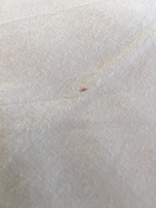 Zimmer Starlight Resort Hotel